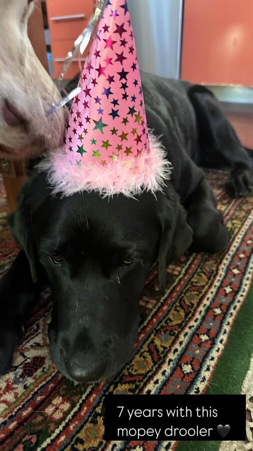 Emo wearing a pink party hat
