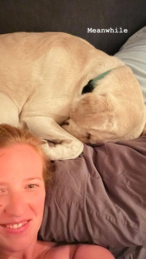 Taco asleep on the bed
