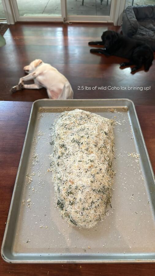 A herbed loaf on a sheet pan, dogs asleep in the background