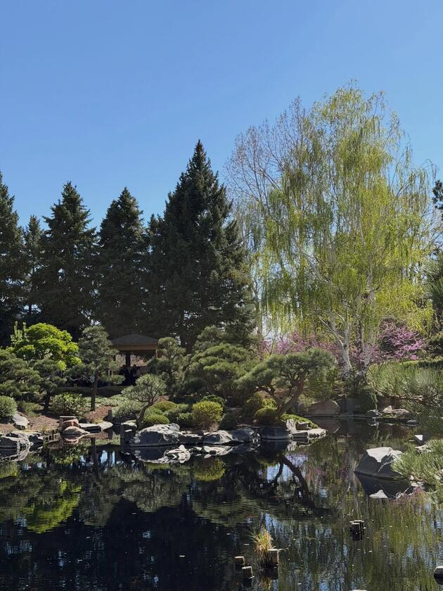 A Japanese garden and pond