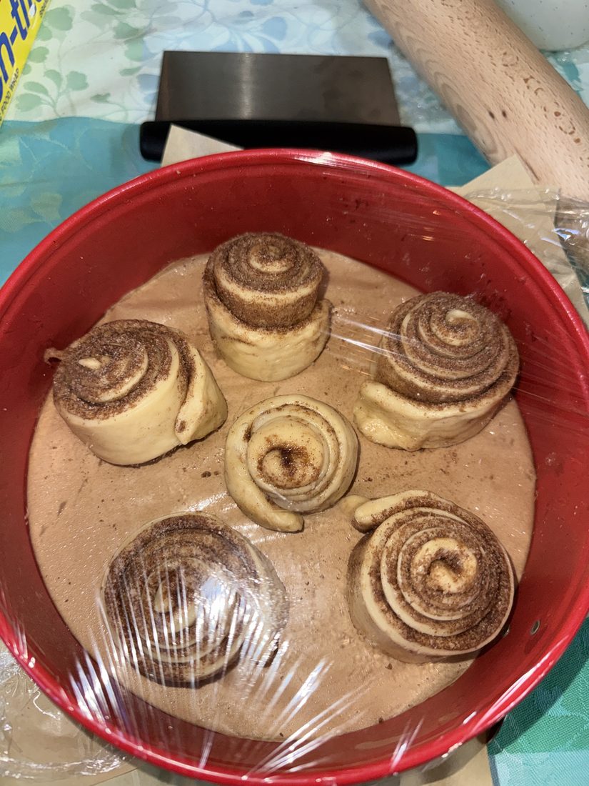 The shaped rolls covered in plastic wrap in the springform pan, ready for the overnight rise in the refrigerator.
