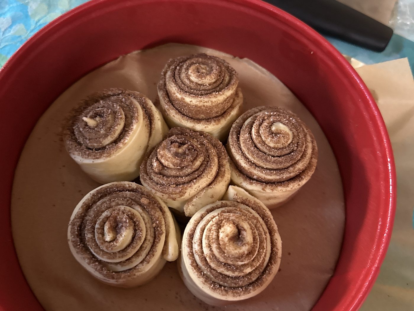 Six shaped cinnamon rolls in a red springform pan, arranged one in the center and five around it, before the overnight rise.
