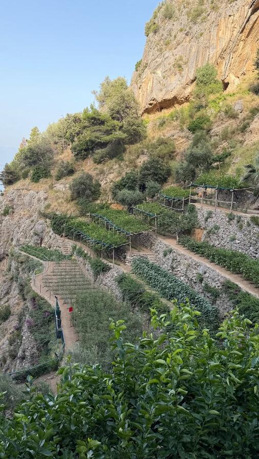 Green cliffs dropping to the coast