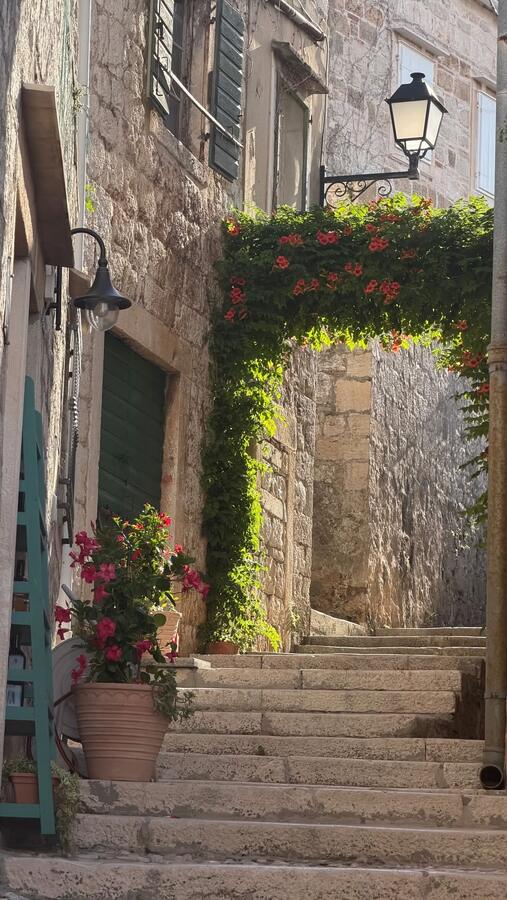 A stone alley with greenery overhead