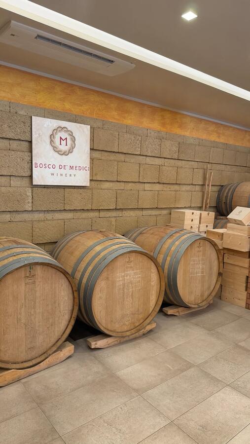 Wine barrels in a cellar